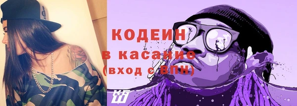 соль ск Богданович