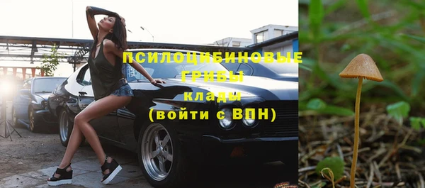 соль ск Богданович