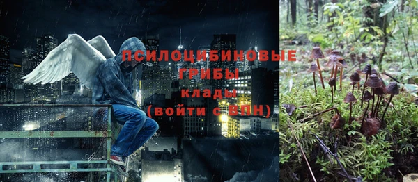 соль ск Богданович