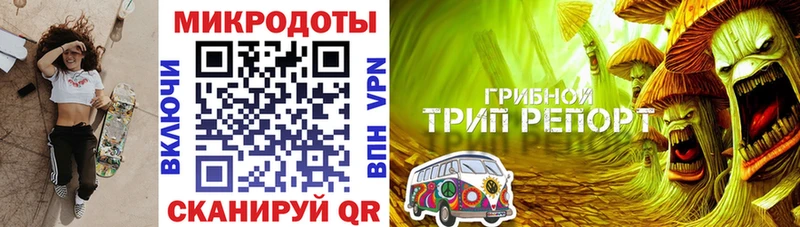 наркотики  Свирск  Галлюциногенные грибы Psilocybine cubensis 